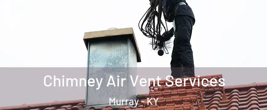  Chimney Air Vent Services Murray - KY