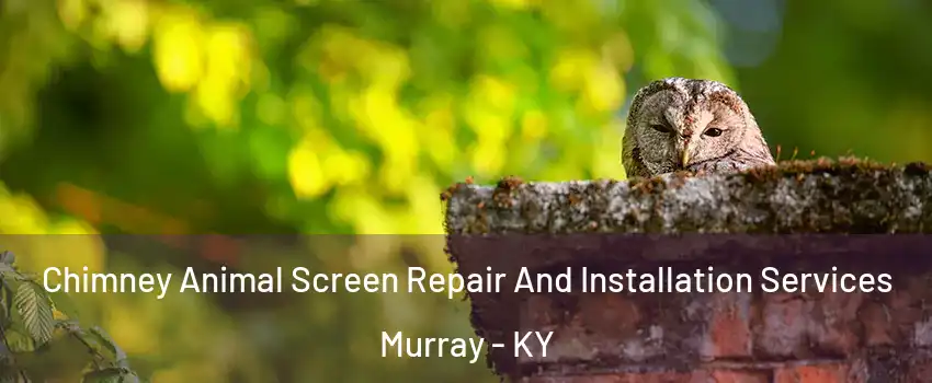  Chimney Animal Screen Repair And Installation Services Murray - KY