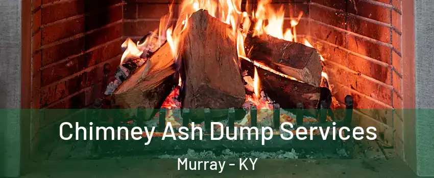 Chimney Ash Dump Services Murray - KY