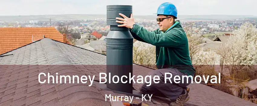  Chimney Blockage Removal Murray - KY
