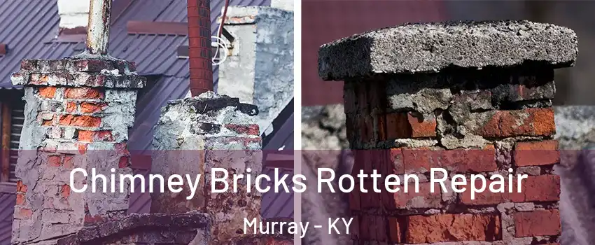 Chimney Bricks Rotten Repair Murray - KY