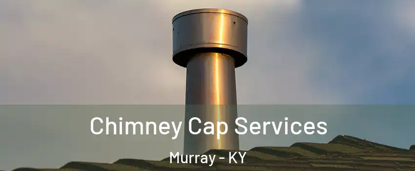 Chimney Cap Services Murray - KY