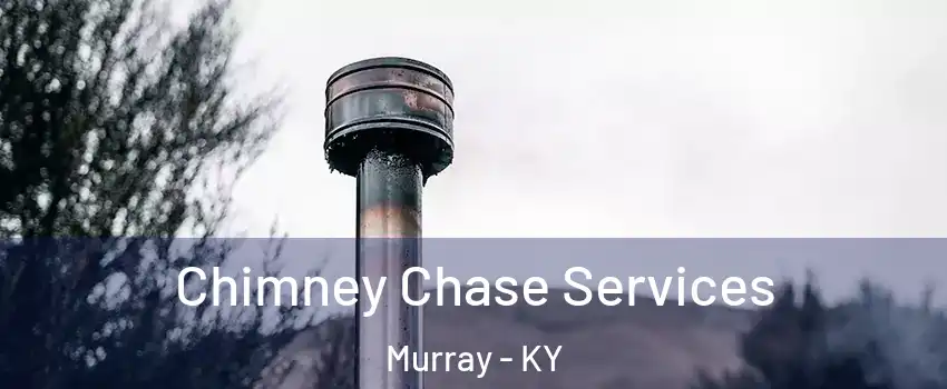  Chimney Chase Services Murray - KY
