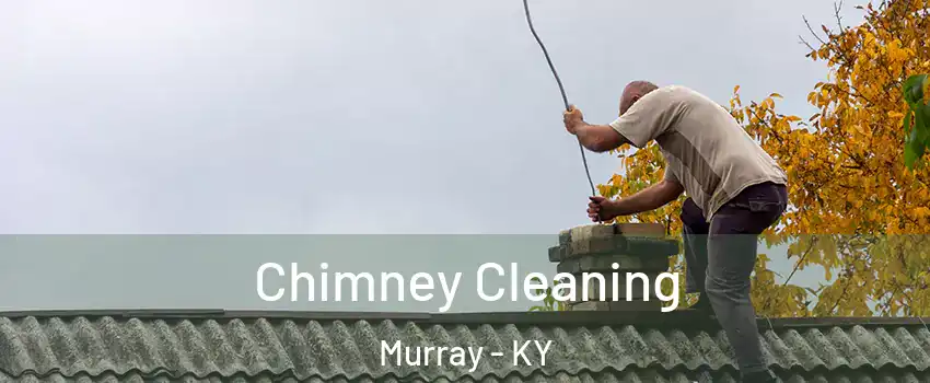  Chimney Cleaning Murray - KY
