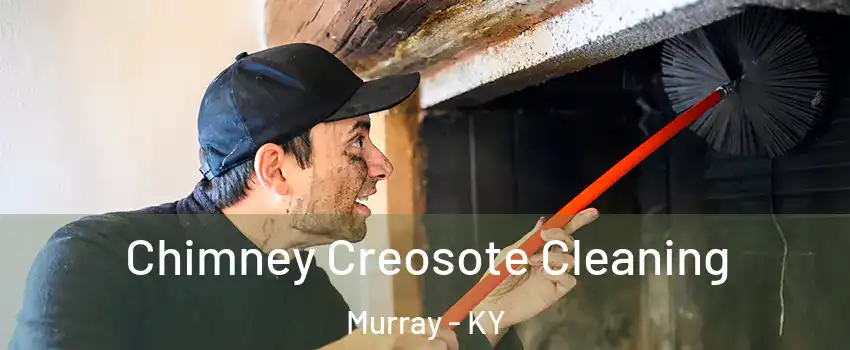  Chimney Creosote Cleaning Murray - KY
