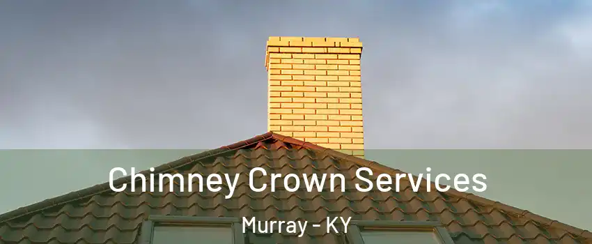  Chimney Crown Services Murray - KY
