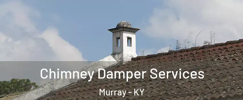  Chimney Damper Services Murray - KY