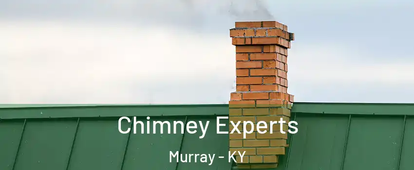  Chimney Experts Murray - KY