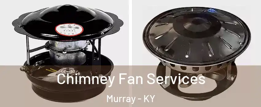  Chimney Fan Services Murray - KY