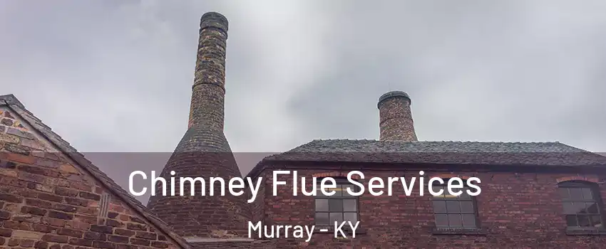  Chimney Flue Services Murray - KY