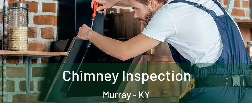  Chimney Inspection Murray - KY