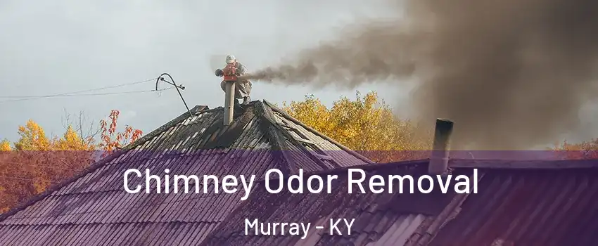  Chimney Odor Removal Murray - KY