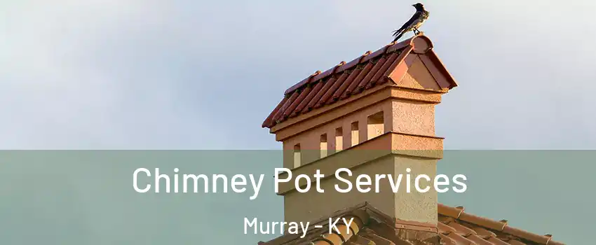  Chimney Pot Services Murray - KY