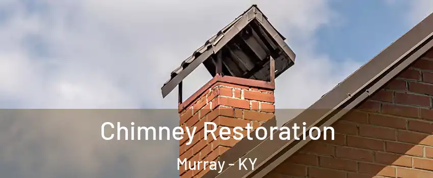  Chimney Restoration Murray - KY