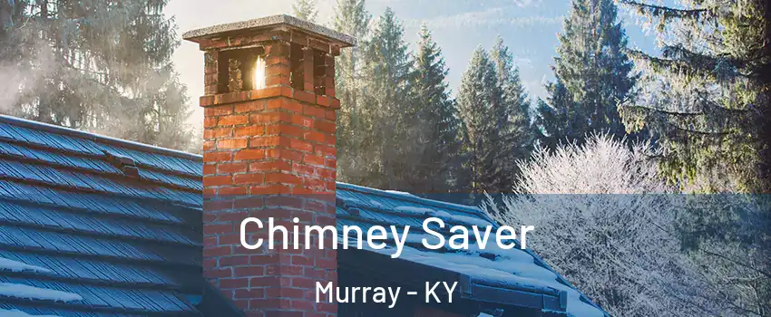  Chimney Saver Murray - KY