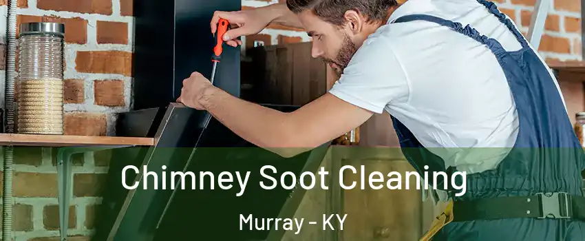  Chimney Soot Cleaning Murray - KY