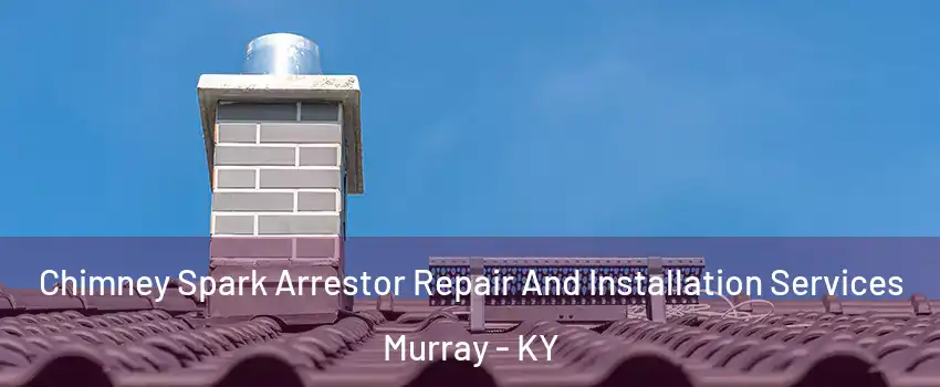  Chimney Spark Arrestor Repair And Installation Services Murray - KY
