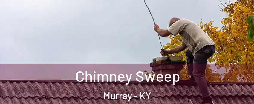  Chimney Sweep Murray - KY