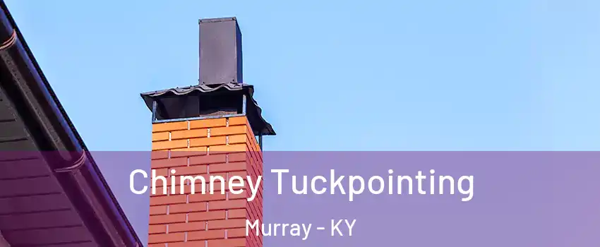 Chimney Tuckpointing Murray - KY