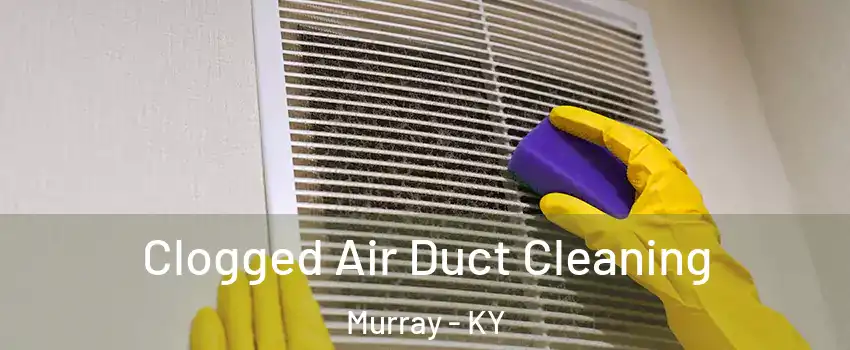  Clogged Air Duct Cleaning Murray - KY