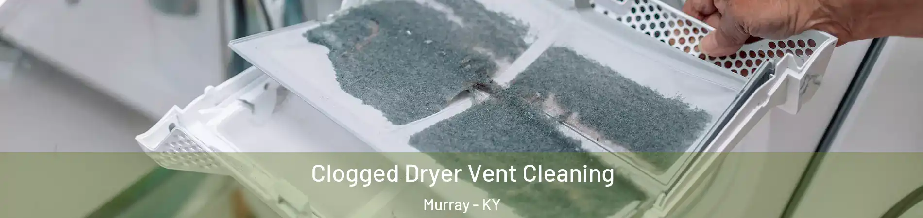 Clogged Dryer Vent Cleaning Murray - KY