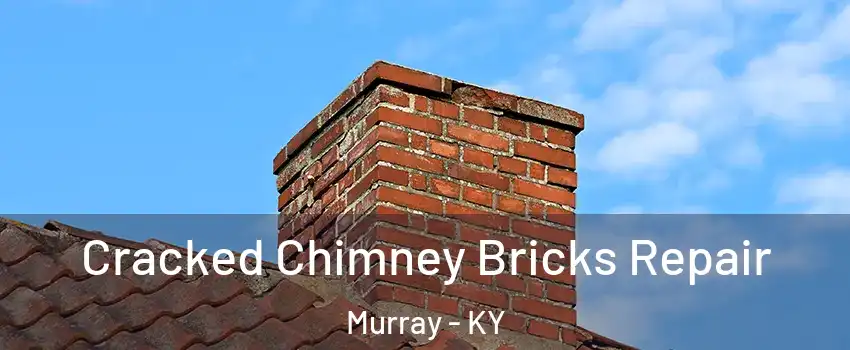 Cracked Chimney Bricks Repair Murray - KY