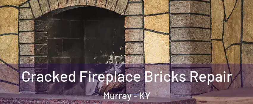 Cracked Fireplace Bricks Repair Murray - KY