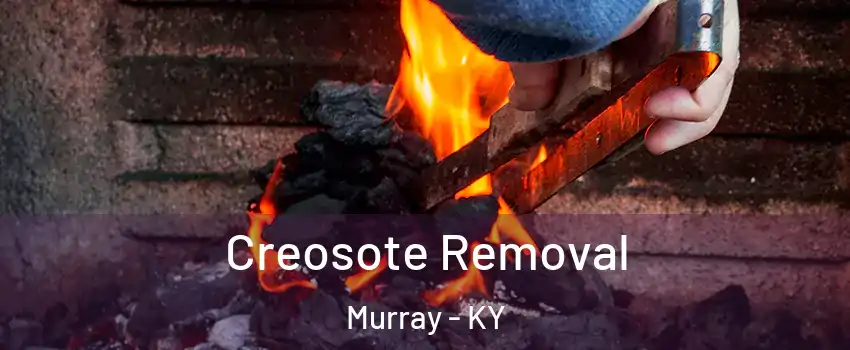 Creosote Removal Murray - KY