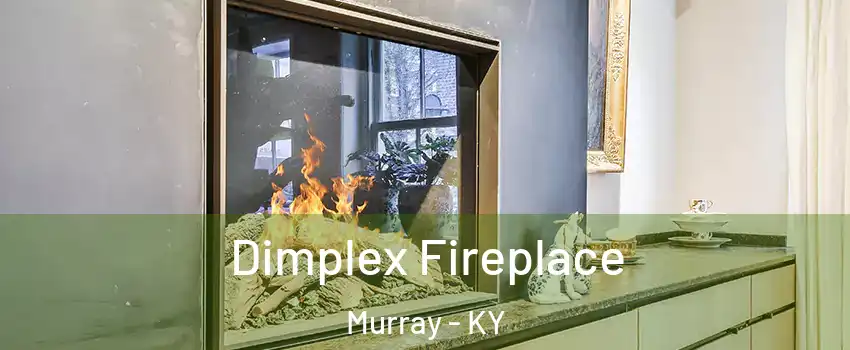  Dimplex Fireplace Murray - KY