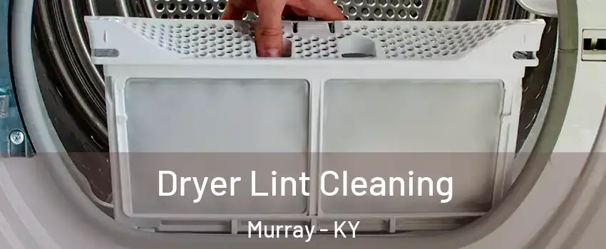  Dryer Lint Cleaning Murray - KY
