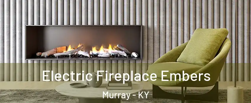 Electric Fireplace Embers Murray - KY