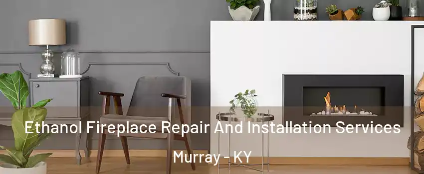  Ethanol Fireplace Repair And Installation Services Murray - KY