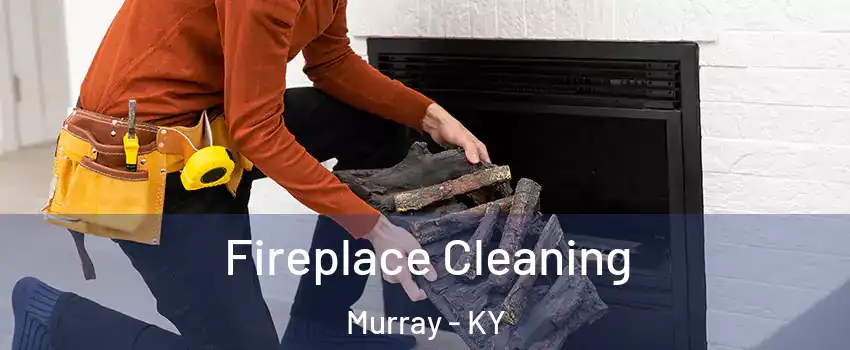  Fireplace Cleaning Murray - KY