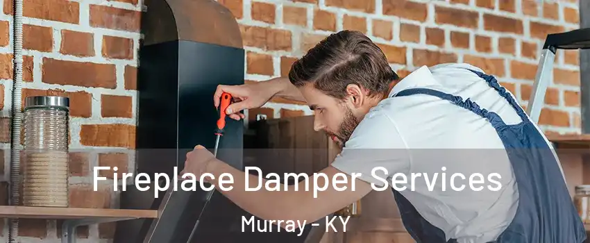  Fireplace Damper Services Murray - KY
