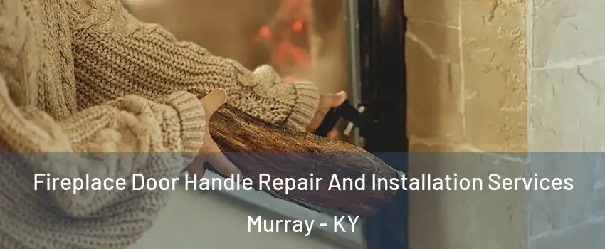 Fireplace Door Handle Repair And Installation Services Murray - KY