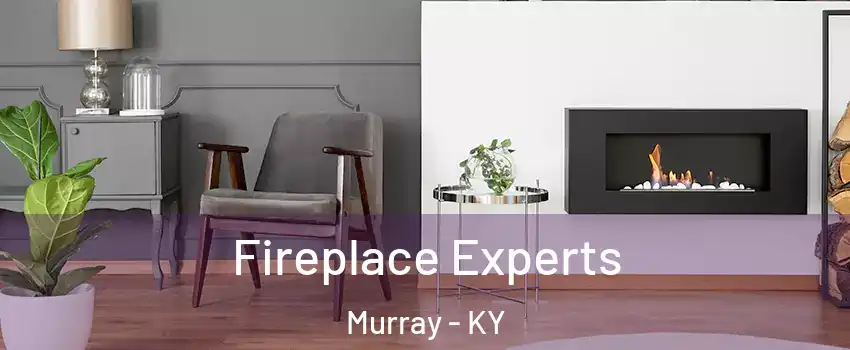  Fireplace Experts Murray - KY