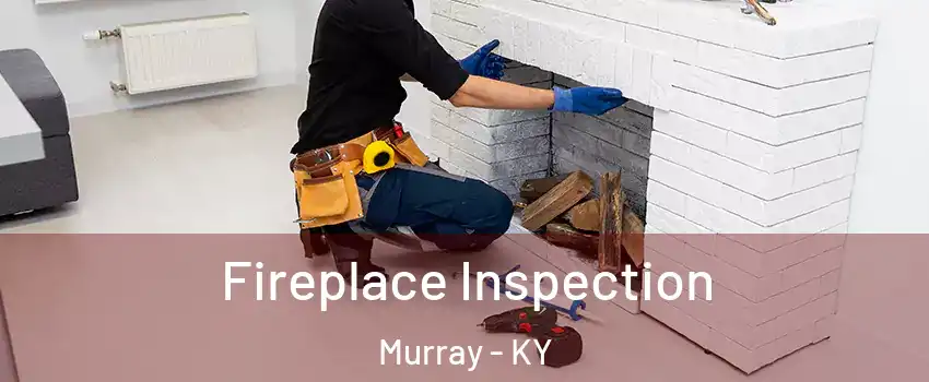 Fireplace Inspection Murray - KY