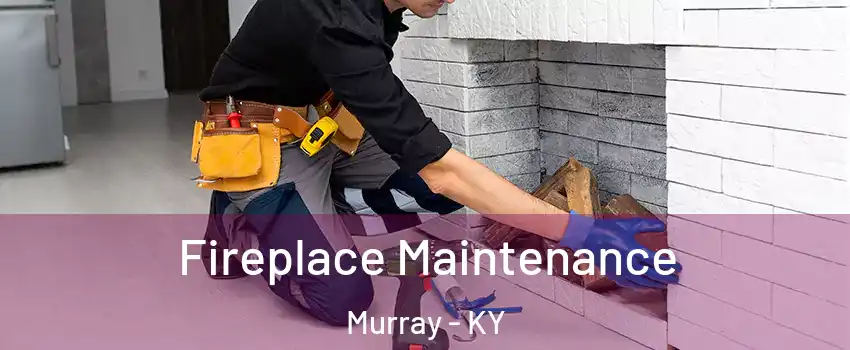  Fireplace Maintenance Murray - KY