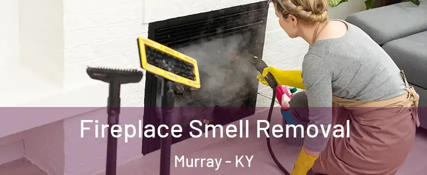 Fireplace Smell Removal Murray - KY