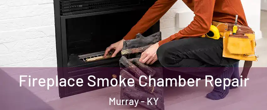 Fireplace Smoke Chamber Repair Murray - KY