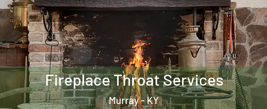  Fireplace Throat Services Murray - KY