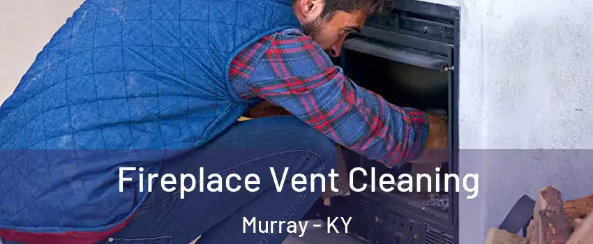Fireplace Vent Cleaning Murray - KY