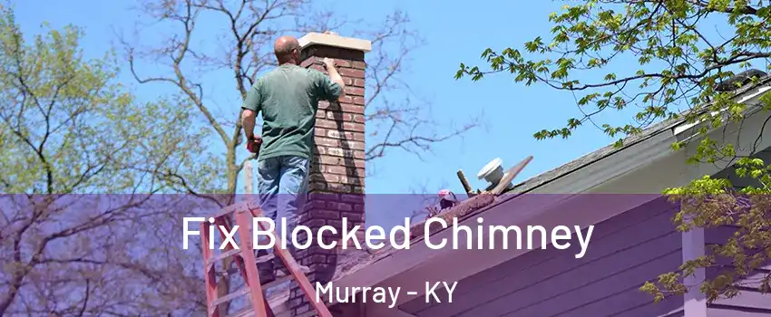 Fix Blocked Chimney Murray - KY