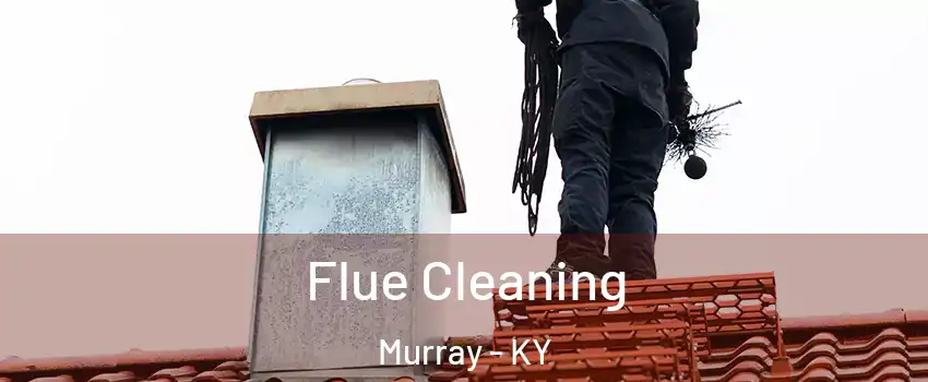  Flue Cleaning Murray - KY