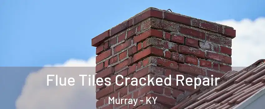  Flue Tiles Cracked Repair Murray - KY