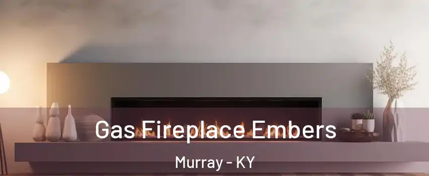  Gas Fireplace Embers Murray - KY
