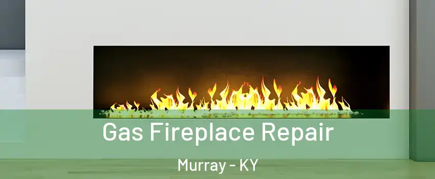  Gas Fireplace Repair Murray - KY