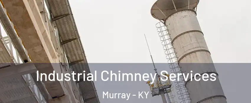 Industrial Chimney Services Murray - KY