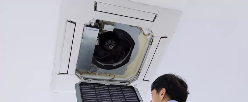 Benefits of Professional Air Duct Cleaning in Murray, Kentucky