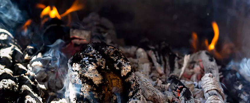 Creosote Removal Experts in Murray, KY